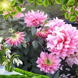 ���� Svetlana, ����, 59 ��� - ��������� 30 ������� 2022