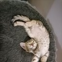 ���� ����, ������, 45 ��� - ��������� 8 ������� 2023 � ������ ���� ����������