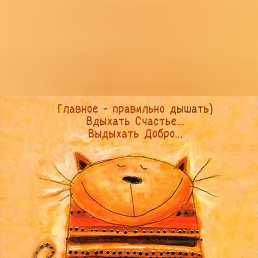 ���� ����, ������, 57 ��� - ��������� 9 ������� 2022