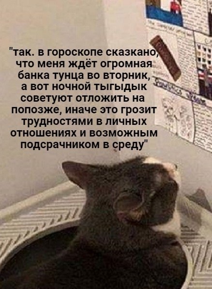 ������� ���� ������, ����� ��� �� ���� ������ ������ � ����� - 2