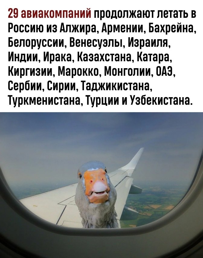   -   - 19  2022  19:01 - 3