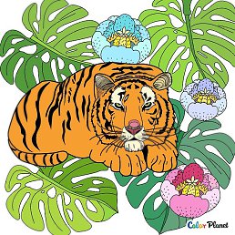 �������, ������, 37 ���