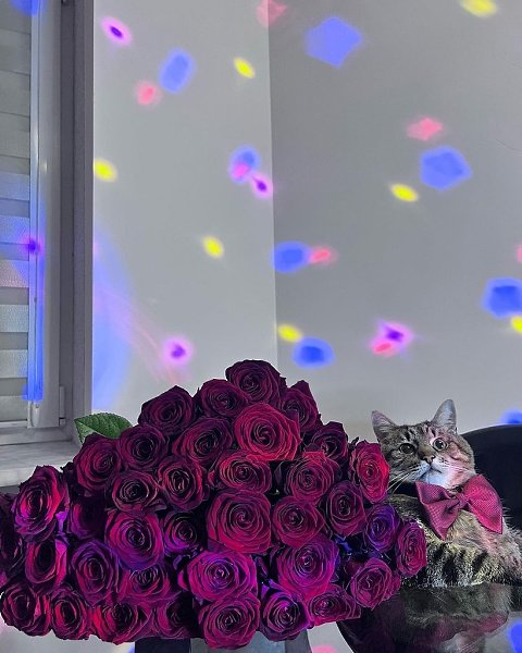 ��� �������� ��������� ����� - 2