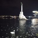 ���� ����, �����������, 41 ��� - ��������� 4 ������� 2023 � ������ ���� ����������