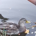 ���� �������, �����-���������, 62 ���� - ��������� 30 �������� 2022 � ������ ���� ����������