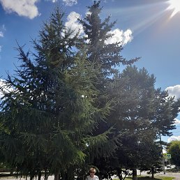 ���� ������, ���������, 68 ��� - ��������� 8 ������� 2022