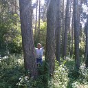 ���� �������, ������, 68 ��� - ��������� 26 ���� 2022