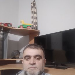 , 51 , 