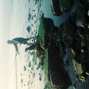 ���� Anibal, ����, 47 ��� - ��������� 26 ����� 2022 � ������ ���� ����������