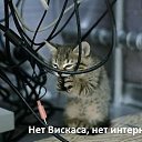 ���� ����, �����, 41 ��� - ��������� 9 ������� 2022 � ������ ���� ����������