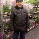 ���� �������, ������, 62 ���� - ��������� 1 ������� 2022 � ������ ���� ����������