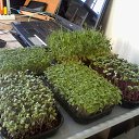 ���� ������, �������, 38 ��� - ��������� 3 ������ 2022 � ������ �111�