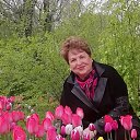 ���� �����, �������� - ��������� 5 ��� 2022 � ������ ���� ����������