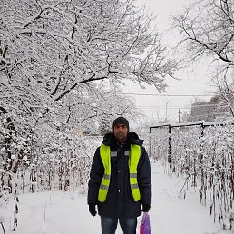 �������, ������, 44 ����