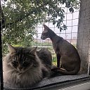 ���� �������, ������, 63 ���� - ��������� 18 ������� 2022 � ������ ���� ����������