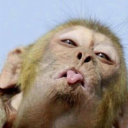 ���� ����, ����� - ��������� 29 ������ 2023