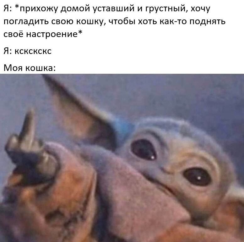    - 18  2023  00:31