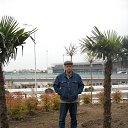 ���� ������, ���������, 53 ���� - ��������� 4 ������� 2022