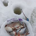 ���� ������, ������ ��������, 97 ��� - ��������� 9 ������� 2022 � ������ ���� ����������