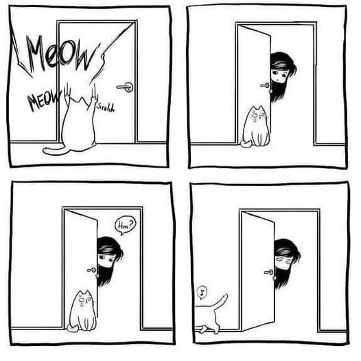     ,  ...)
