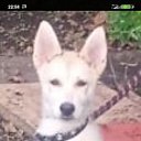 ���� ���� 19����67����., ������-��-����, 58 ��� - ��������� 11 ������ 2023