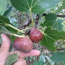 ���� ����, �����������, 56 ��� - ��������� 19 ������ 2023 � ������ ���� ����������