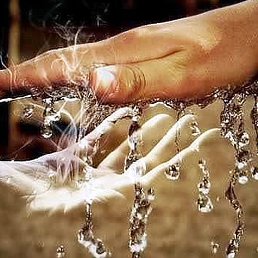 ������, ���������, 56 ���