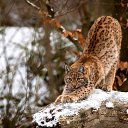 ���� Marlen, ����������� - ��������� 31 ���� 2022 � ������ ������ ��������