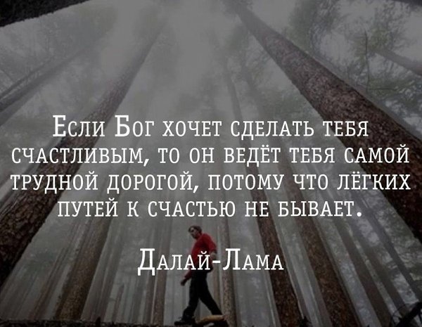  - 17  2022  20:00