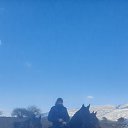 ���� �����, ������, 39 ��� - ��������� 15 ������� 2023 � ������ ���� ����������