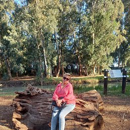 ����, ����, 48 ���