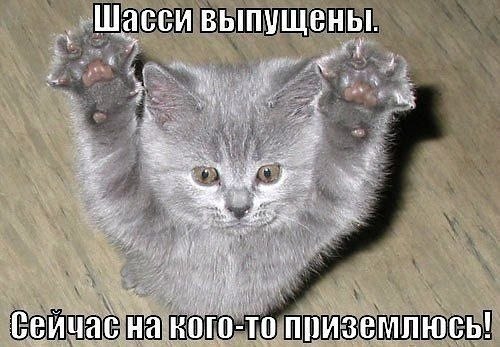    - 5  2022  23:30