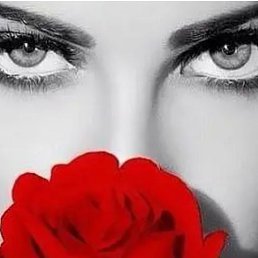 ���� ����, �����������, 64 ���� - ��������� 19 ����� 2022