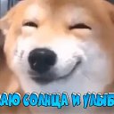 ���� �����, ������������ - ��������� 8 �������� 2022 � ������ ���� ����������