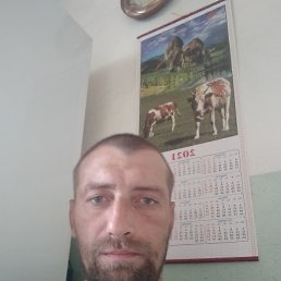 ���� �����, ������-��������, 39 ��� - ��������� 27 ������� 2022