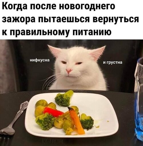  - 14  2023  08:10