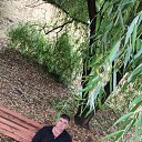 ���� ������, ���������, 43 ���� - ��������� 25 ������� 2022 � ������ ���� ����������