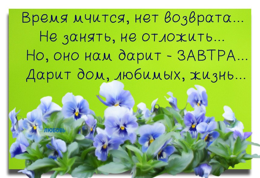 Песня время мчится все быстрей. Время мчится. бегут года афоризмы. жизнь мчится. как быстро мчится время.