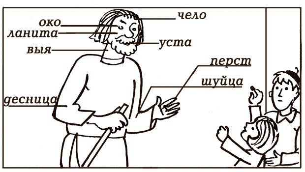 Три забытых русских слова.ВыденьВ русском языке много прекрасных слов. «Выдень» одно из них. ...