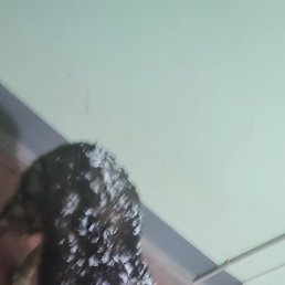 ���� ������, ����� - ��������� 5 ������� 2023