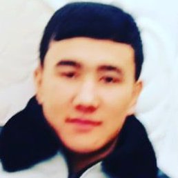 ����, �����-���������, 24 ����