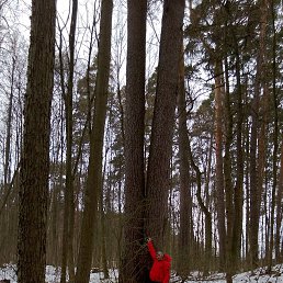 ���� ����, ������, 79 ��� - ��������� 15 ������ 2022