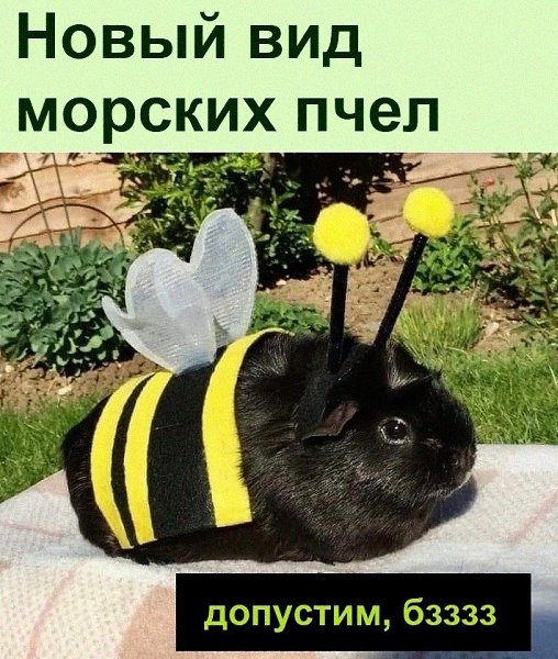   :D - 6  2022  13:16