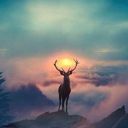 ����, ���������, 32 ����