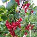 ���� �������, ���������� - ��������� 31 ����� 2022 � ������ ������ ��������