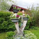 ���� ����, ���������, 42 ���� - ��������� 3 ���� 2022