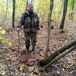 �������, ���������, 48 ���