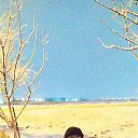  Mustafa, , 40  -  4  2023    