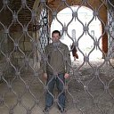 ���� �����, �������, 40 ��� - ��������� 8 ������� 2022 � ������ ���� ����������