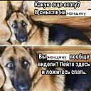 ���� ������, ������, 53 ���� - ��������� 6 ������� 2022 � ������ ������ ��������